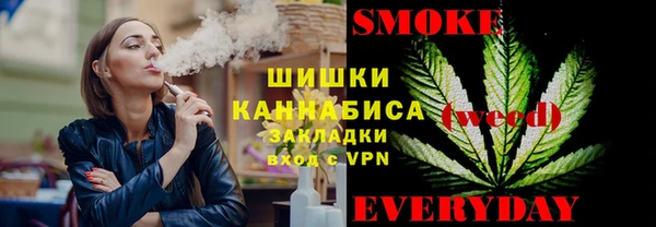 spice Ладушкин