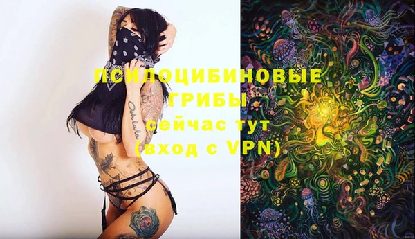 не бодяженный Кулебаки