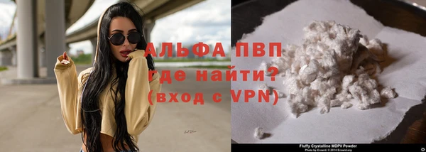 прущие грибы Осташков