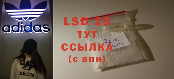 прущие грибы Осташков